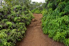 Kauai - 033